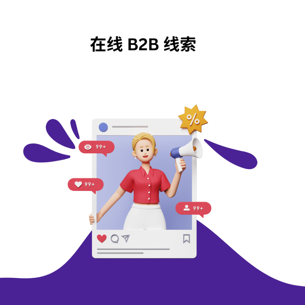 在线 B2B 线索